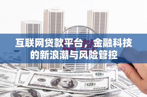沙溪互联网贷款平台，金融科技的新浪潮与风险管控