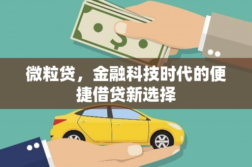 石岐微粒贷，金融科技时代的便捷借贷新选择