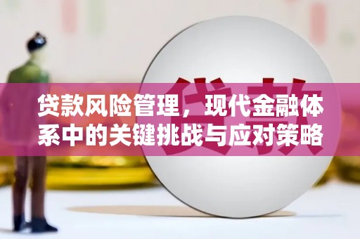 平镇贷款风险管理，现代金融体系中的关键挑战与应对策略