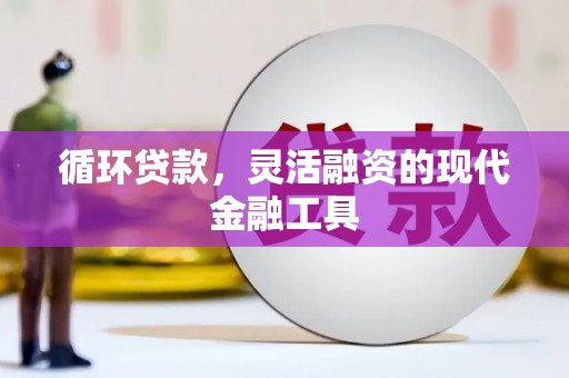 九龙城循环贷款，灵活融资的现代金融工具