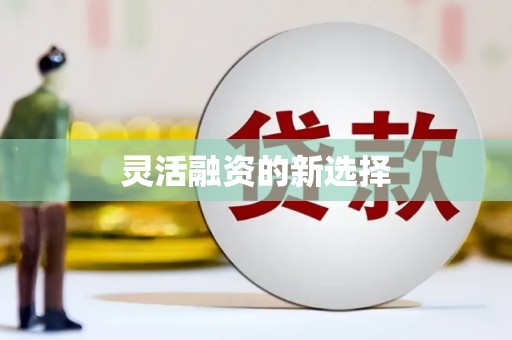 樊城灵活融资的新选择