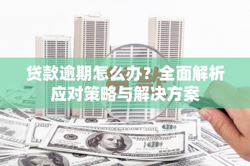 射阳贷款逾期怎么办？全面解析应对策略与解决方案