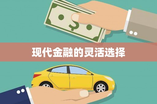 山南现代金融的灵活选择