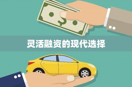 稻城灵活融资的现代选择
