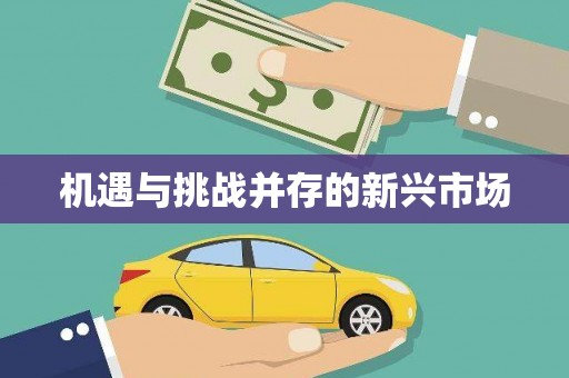 嘉禾机遇与挑战并存的新兴市场