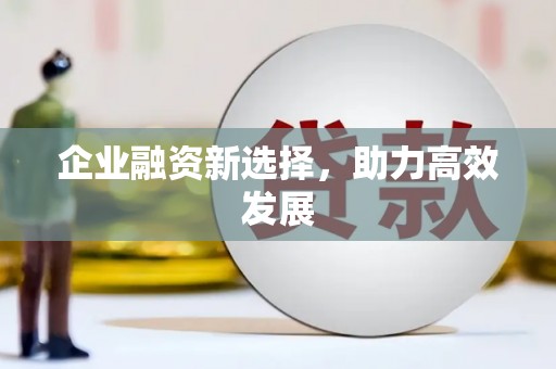 苏尼特右旗企业融资新选择，助力高效发展