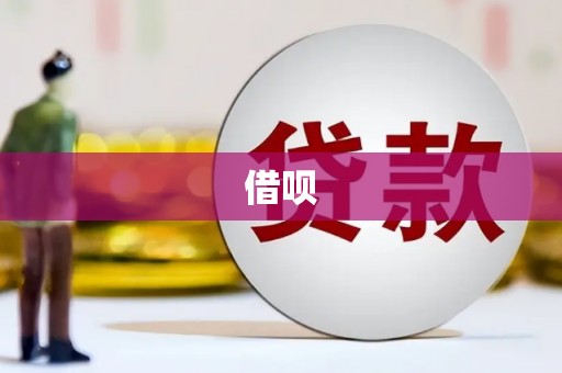 保税区借呗
