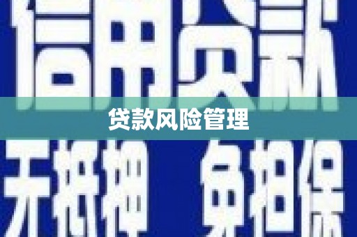 晋江贷款风险管理