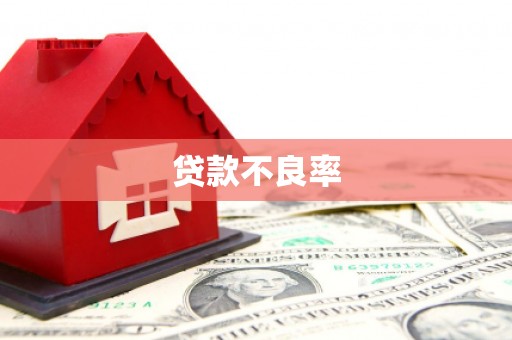 泰顺贷款不良率