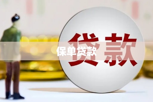 毕节保单贷款 毕节保单贷款